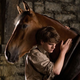 Illustration for article titled War Horse